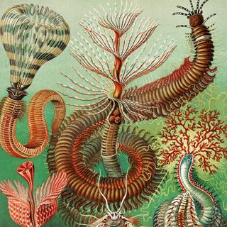 Strange Mysterious Sounds