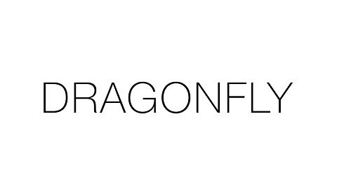 Dragonfly Logo